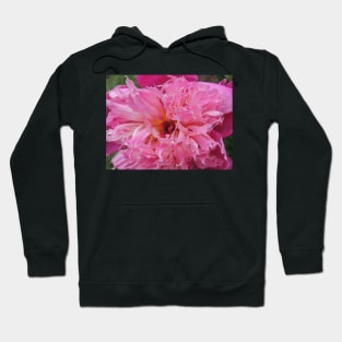 Pink peony Hoodie